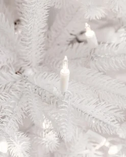 Hot Denali White® Trees 7 - 7.5 Feet|6 - 6.5 Feet