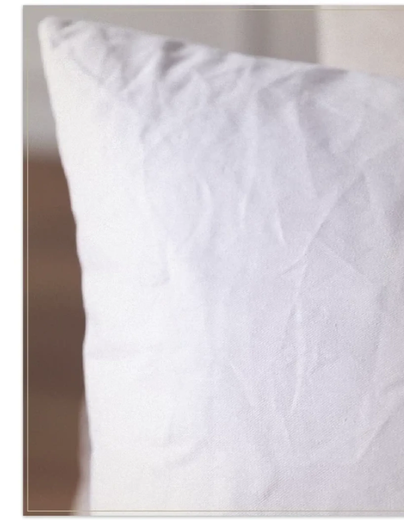 Outlet Down Pillow Inserts Pillows & Throws