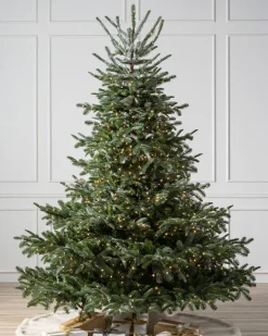 Discount European Fir Trees 7 - 7.5 Feet|Under 6 Feet