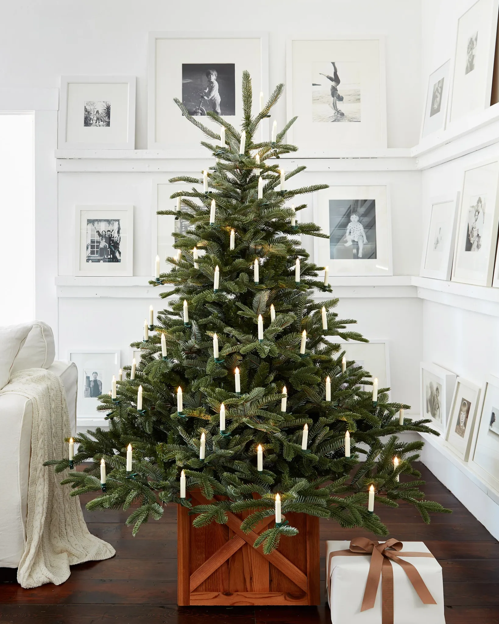 Discount European Fir Trees 7 - 7.5 Feet|Under 6 Feet
