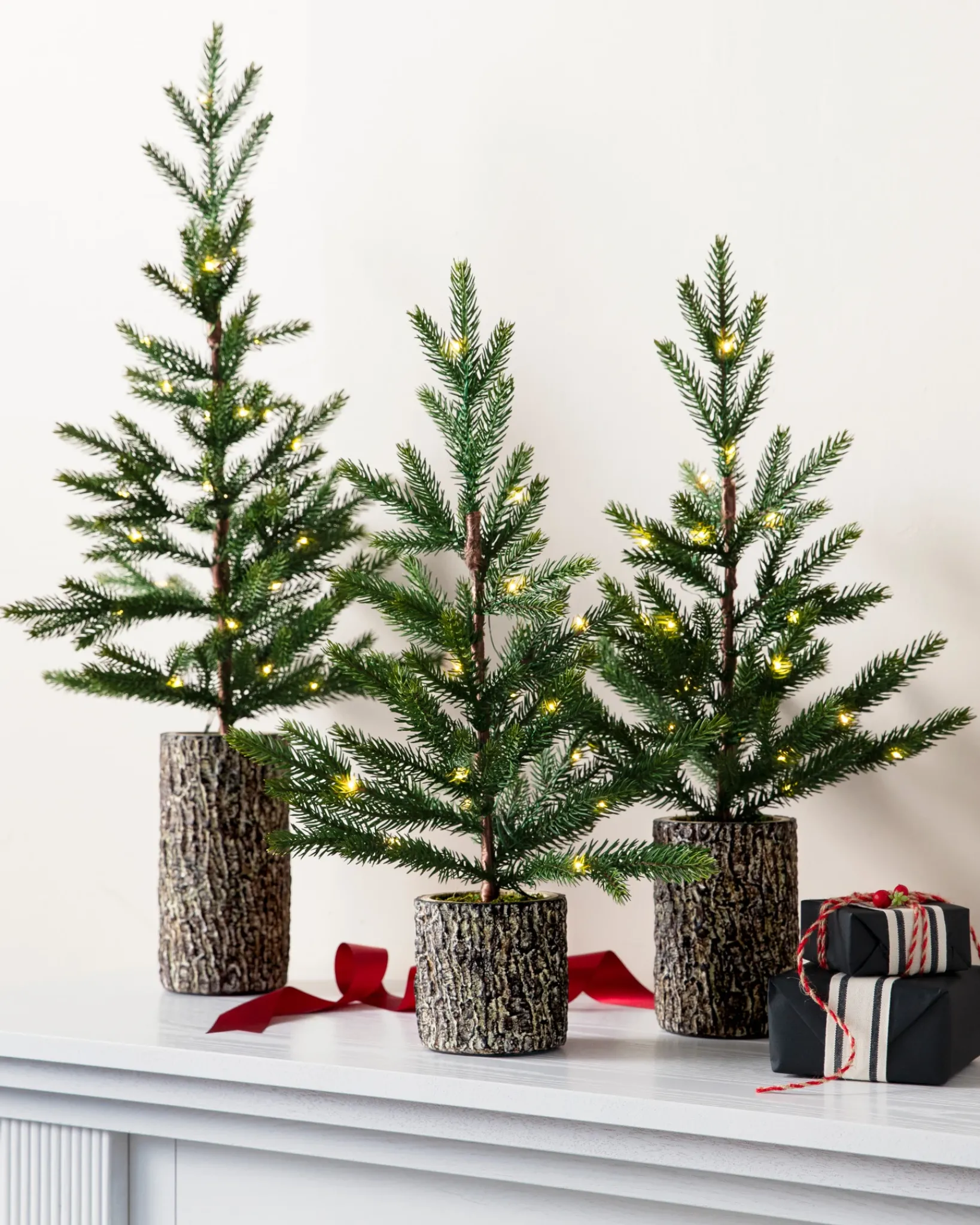 Hot Evergreen Saplings Tabletop Trees Tabletop & Accent Trees