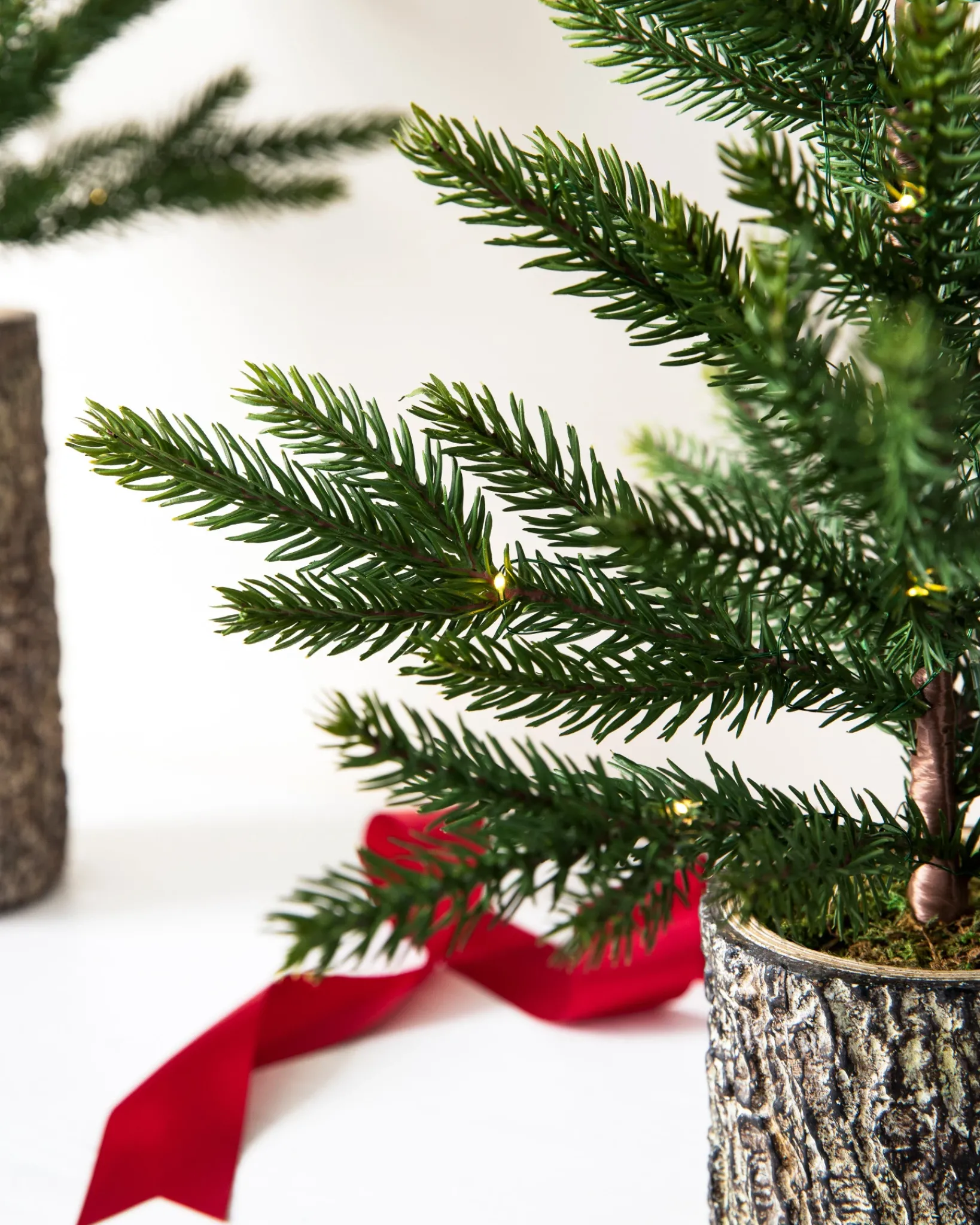 Hot Evergreen Saplings Tabletop Trees Tabletop & Accent Trees