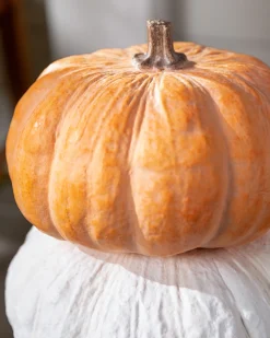 Online Fairytale Pumpkins Outdoor Safe