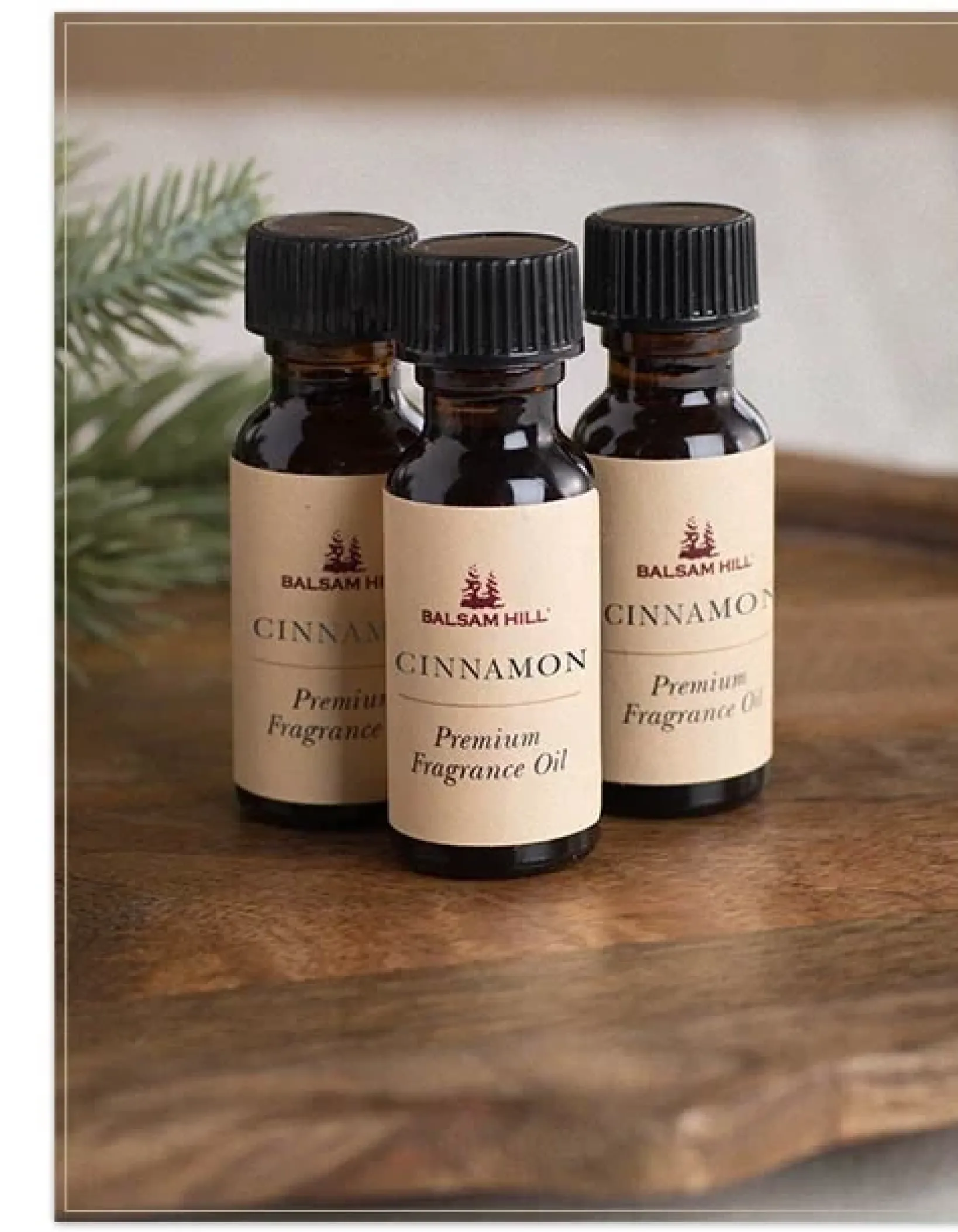 New Fall Scents Of The Season Cartridge Set Candles & Scents