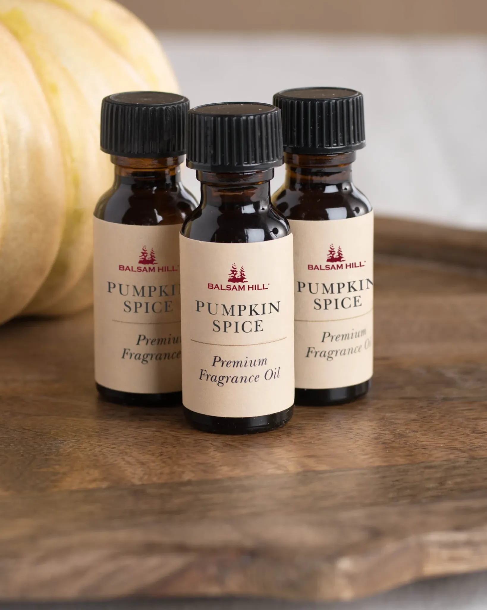 New Fall Scents Of The Season Cartridge Set Candles & Scents