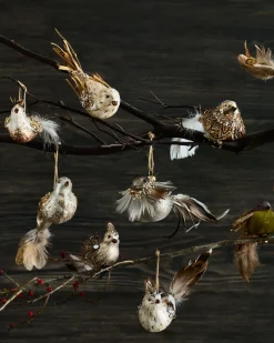 Sale Feathered Friends Christmas Ornament Collection Ornaments