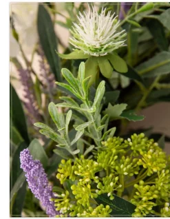 Sale French Market Floral Foliage Wreaths|Garlands