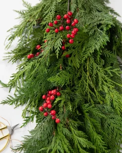 Best Fresh Cedar Grove Foliage 18 - 24 Inch