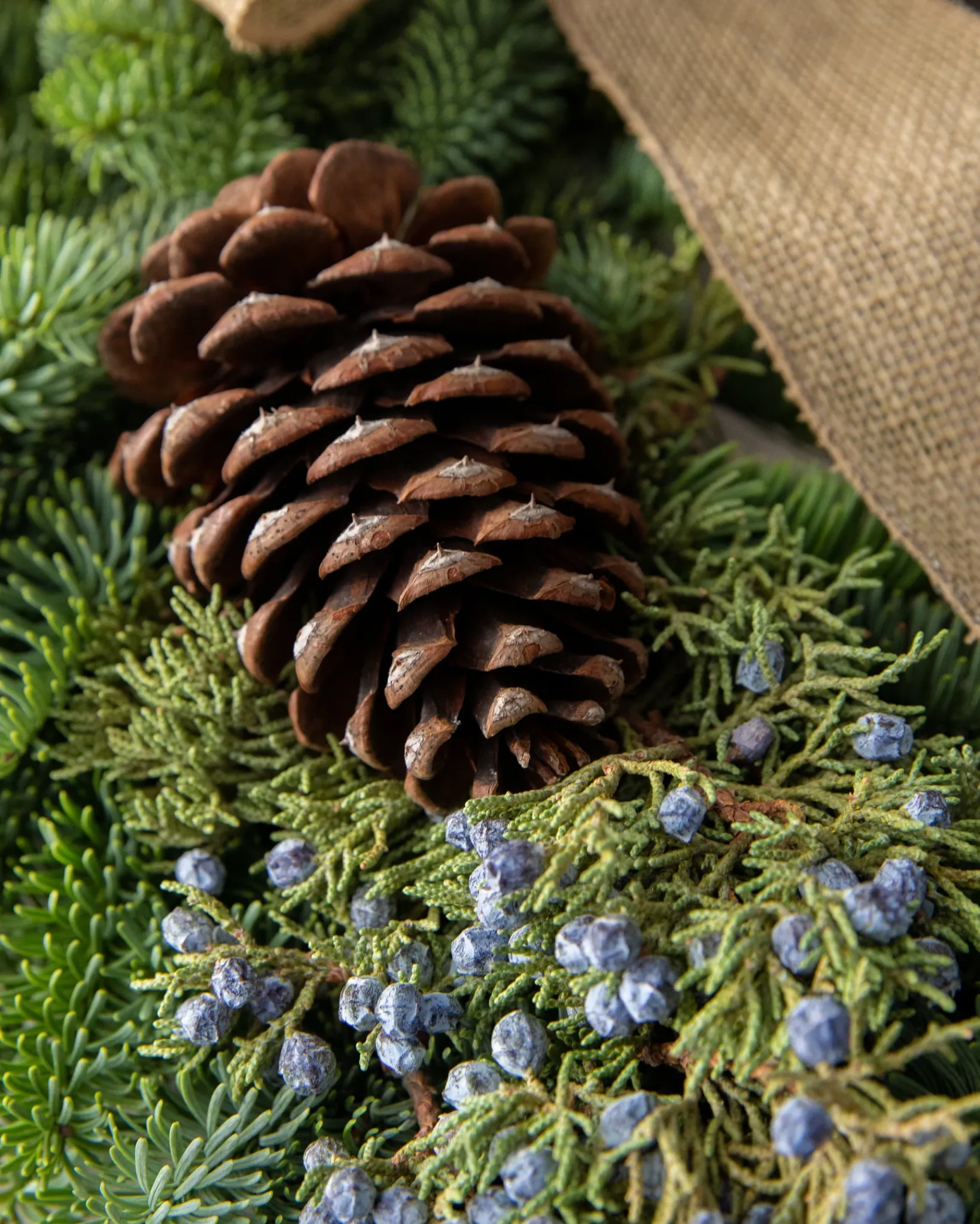Online Fresh Evergreens & Juniper Berry Foliage 18 - 24 Inch|Outdoor Safe
