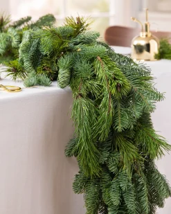 Sale Fresh Noble Fir Woodland Foliage 18 - 24 Inch|Outdoor Safe