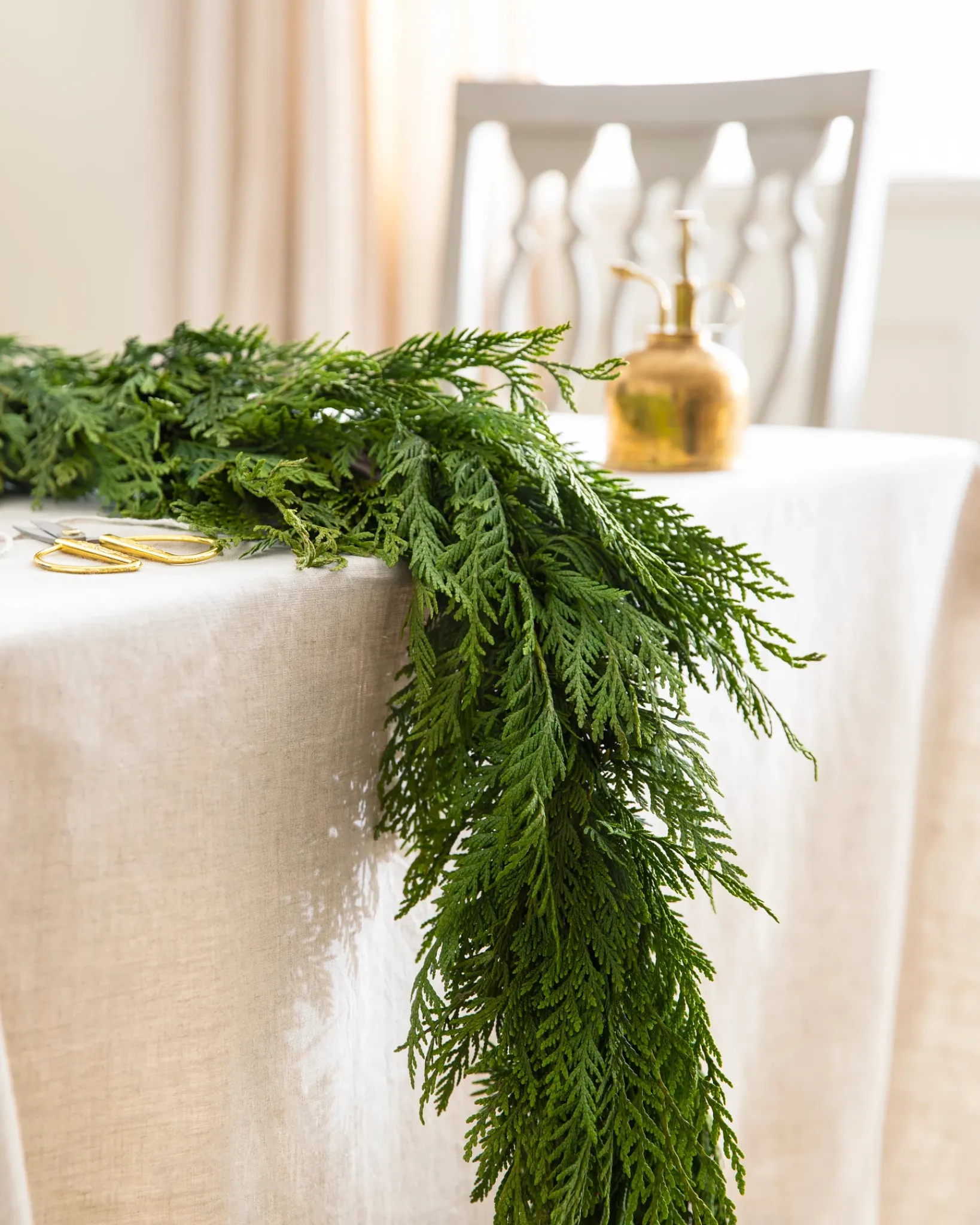 New Fresh Wispy Cedar Foliage 5 - 7 Feet|8 - 10 Feet