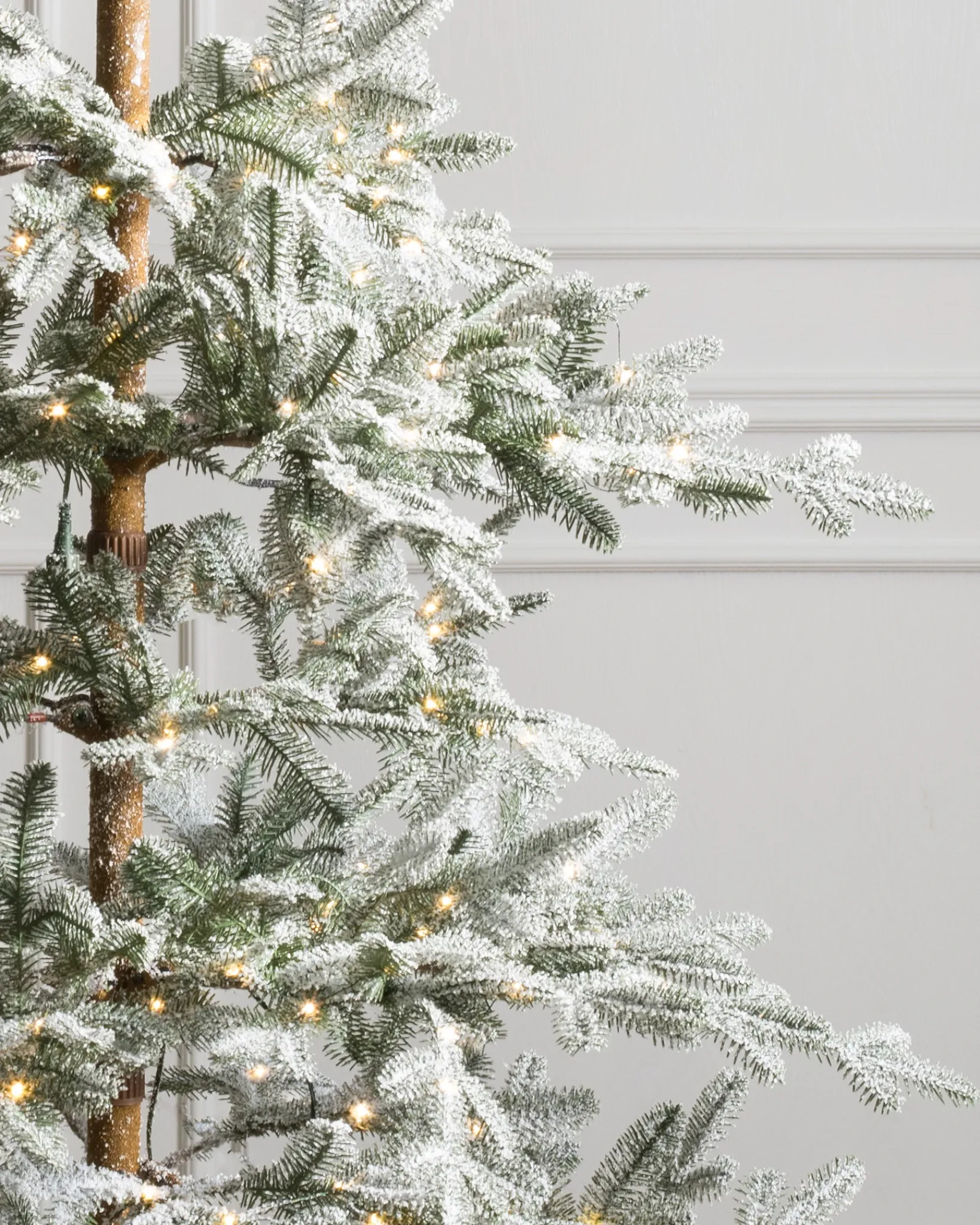 Hot Frosted Alpine Balsam Fir Trees 7 - 7.5 Feet|Under 6 Feet