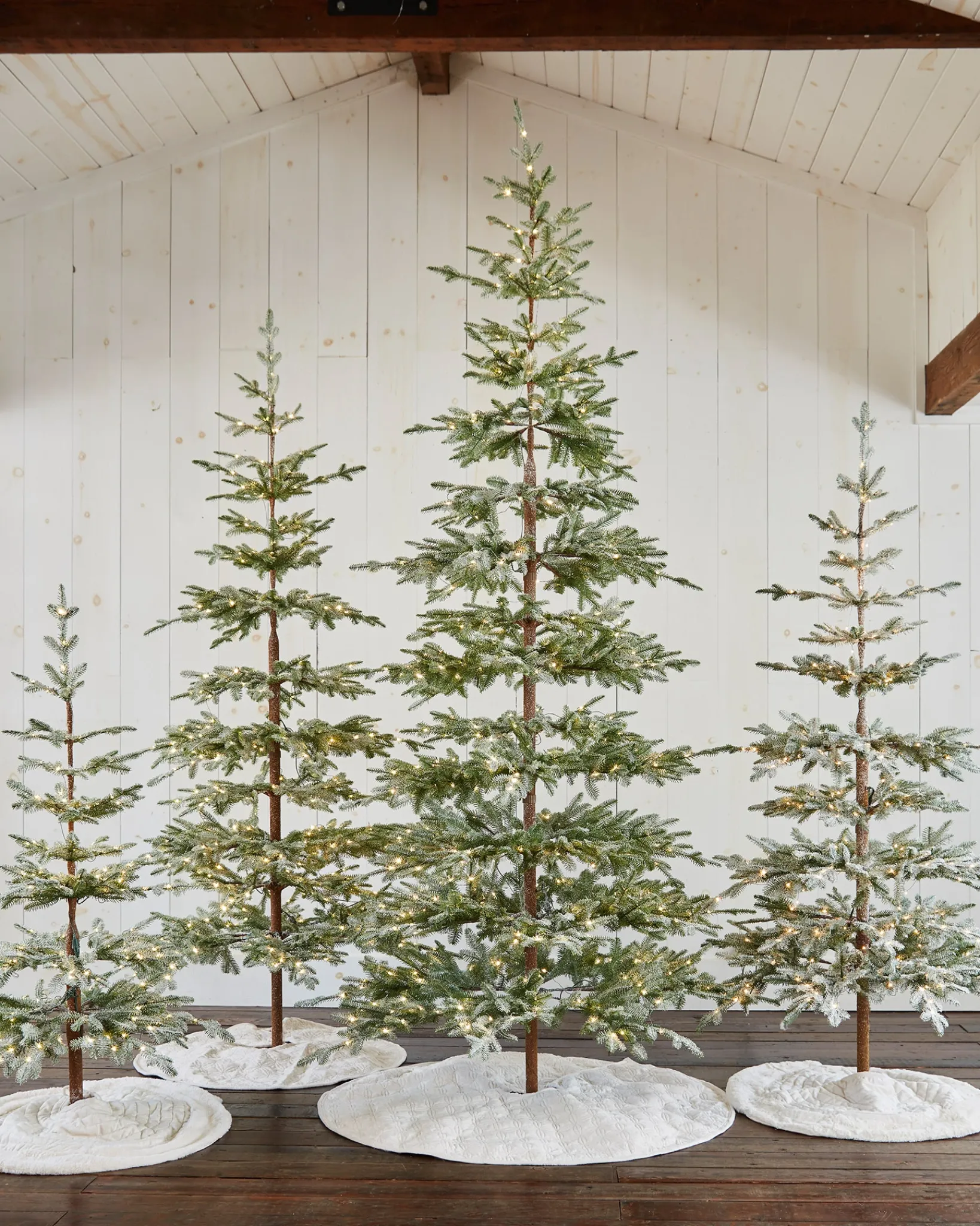 Hot Frosted Alpine Balsam Fir Trees 7 - 7.5 Feet|Under 6 Feet