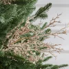 Discount Frosted Branch Picks Picks