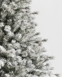 Best Frosted Sugar Pine Trees 7 - 7.5 Feet|Unlit