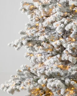 Sale Frosted Yukon Spruce Trees 7 - 7.5 Feet|Pre-Lit