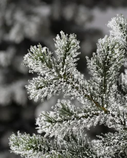Sale Frosted Yukon Spruce Trees 7 - 7.5 Feet|Pre-Lit