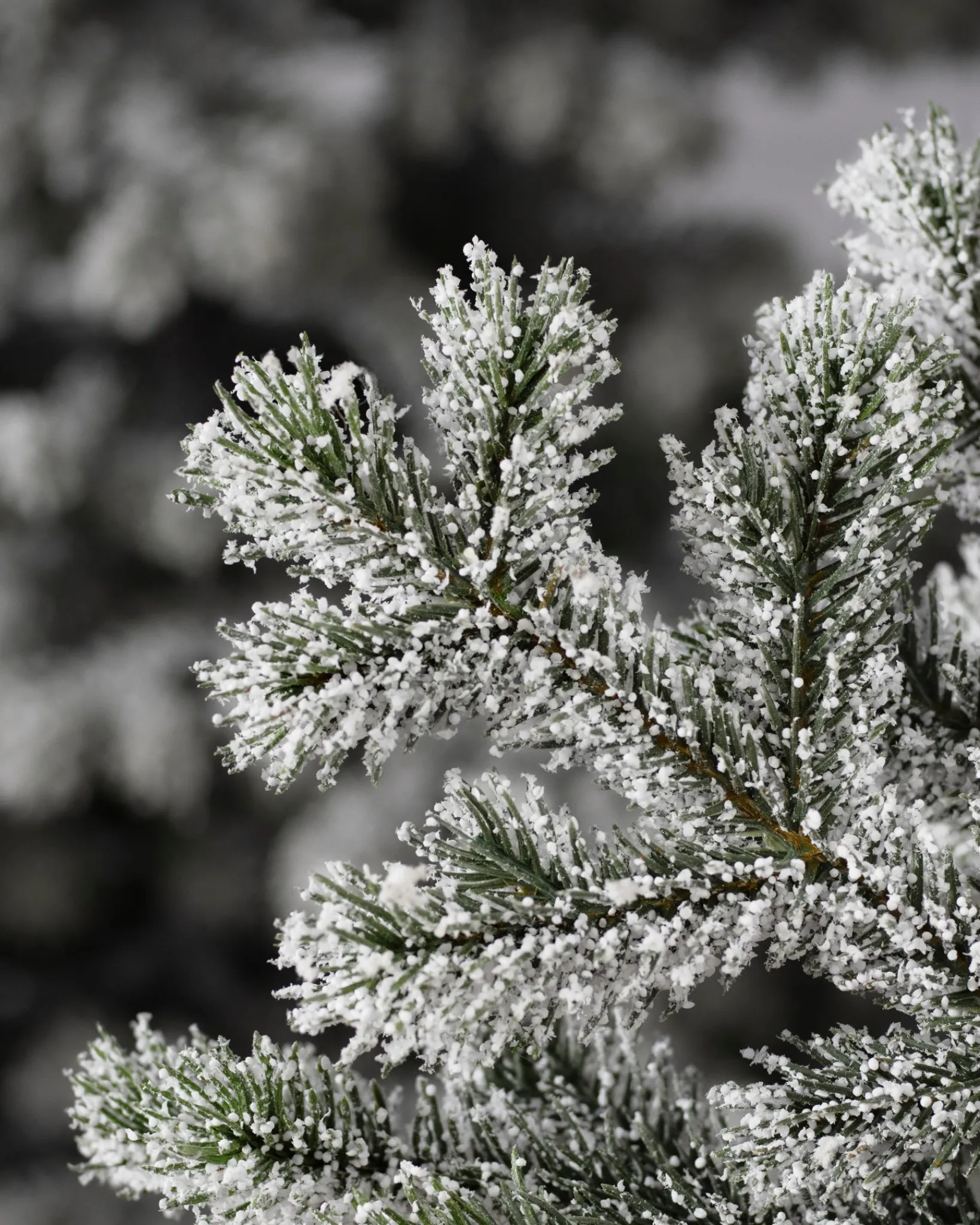 Sale Frosted Yukon Spruce Trees 7 - 7.5 Feet|Pre-Lit