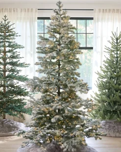 Sale Frosted Yukon Spruce Trees 7 - 7.5 Feet|Pre-Lit