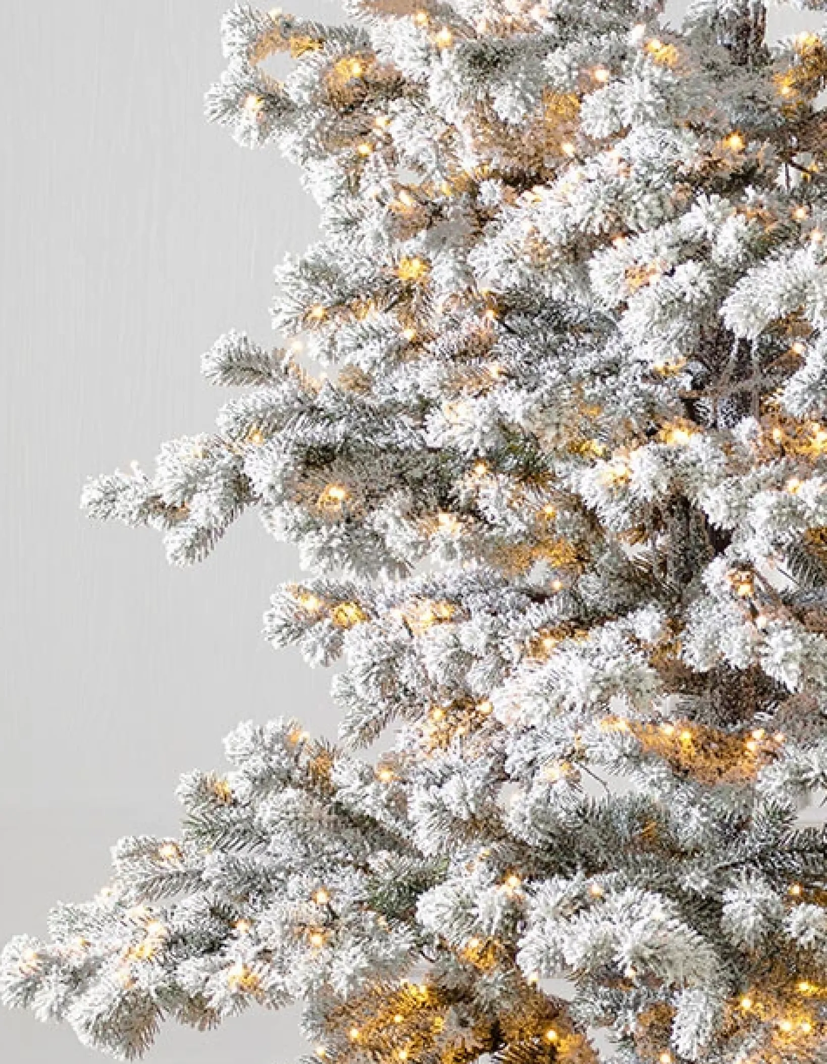 Sale Frosted Yukon Spruce Trees 7 - 7.5 Feet|Pre-Lit