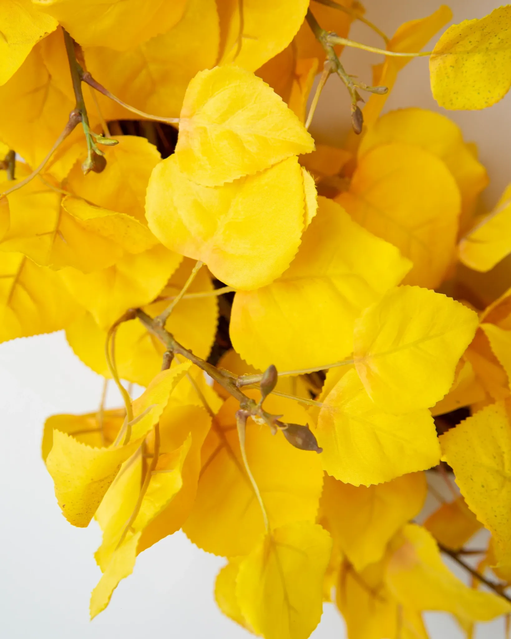 Sale Golden Aspen Foliage Wreaths|Outdoor Safe