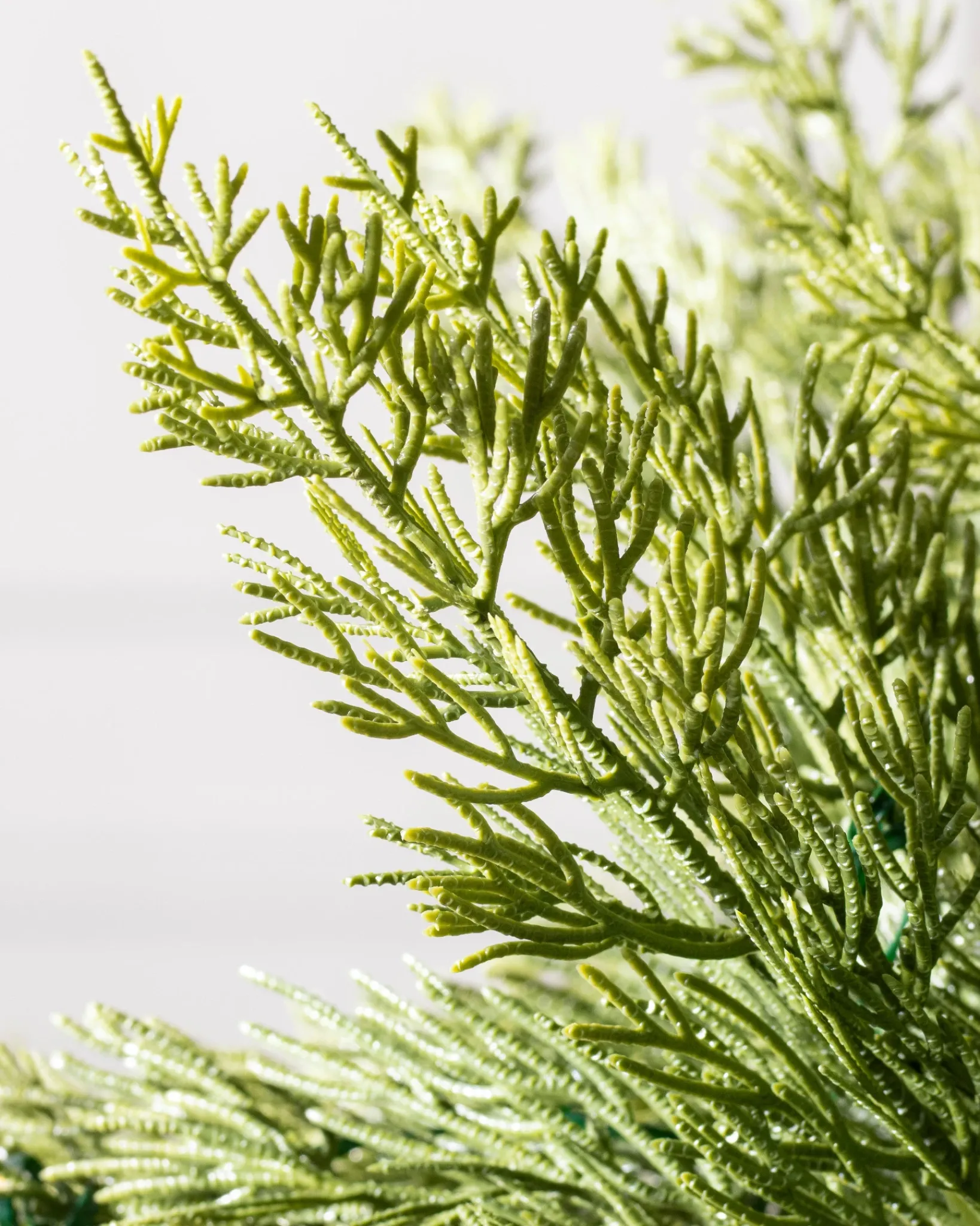 Grand Canyon Cedar® Trees 7 - 7.5 Feet|Pre-Lit