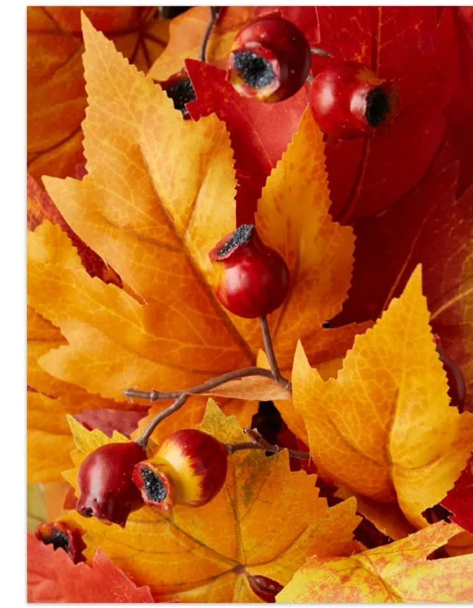 Discount Harvest Maple Foliage Wreaths|Garlands