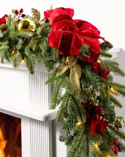 Discount Holiday Traditions BH Fraser Fir® Foliage 30 - 42 Inch