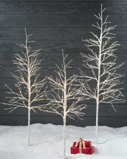 New Lit Winter Birch LED Trees Tabletop & Accent Trees