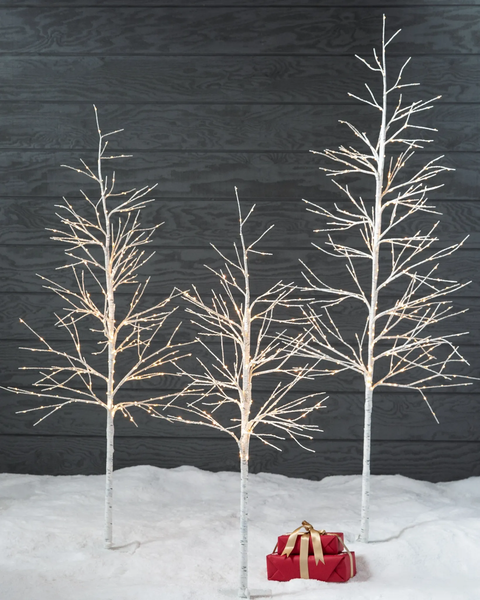 New Lit Winter Birch LED Trees Tabletop & Accent Trees