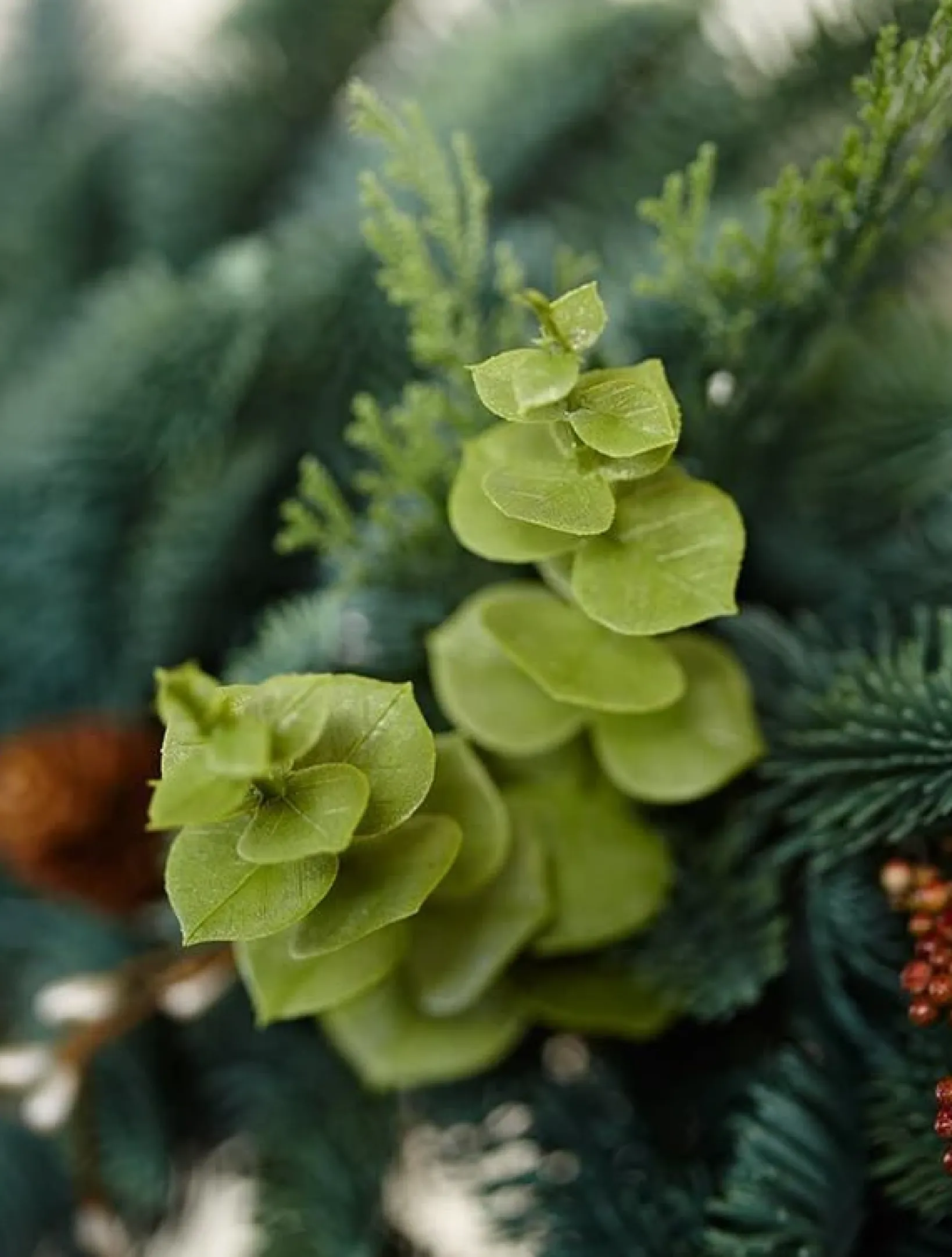 Discount Mountain Meadow Foliage 26 - 28 Inch|Pre-Lit