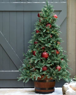 New Oakville Outdoor® Trees 7 - 7.5 Feet|6 - 6.5 Feet