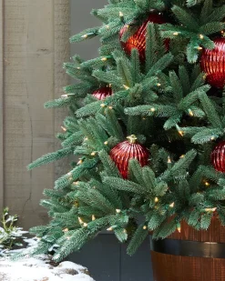 New Oakville Outdoor® Trees 7 - 7.5 Feet|6 - 6.5 Feet