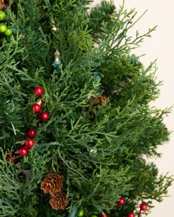 Best Outdoor Beacon Hill Cypress Foliage Outdoor Safe|Outdoor Safe