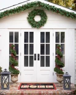Best Outdoor Beacon Hill Cypress Foliage Outdoor Safe|Outdoor Safe