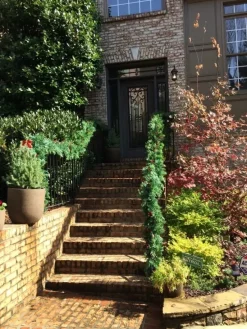 Best Outdoor Beacon Hill Cypress Foliage Outdoor Safe|Outdoor Safe