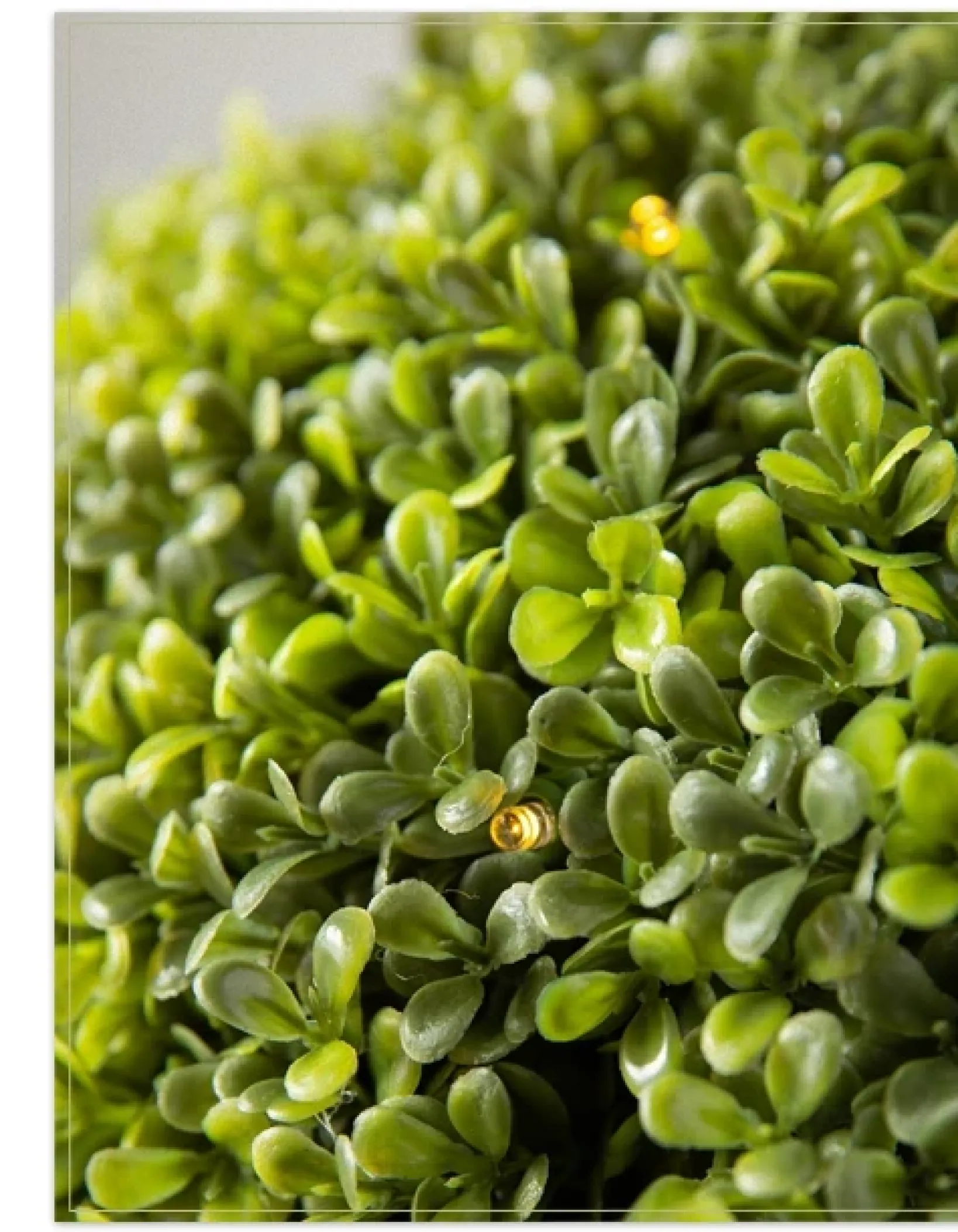 Clearance Outdoor Boxwood Artificial Christmas Topiaries Outdoor Safe|Topiaries & Potted Flowers