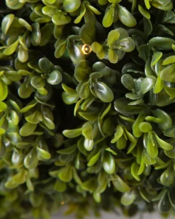 Hot Outdoor Boxwood Foliage 18 - 24 Inch|Outdoor Safe
