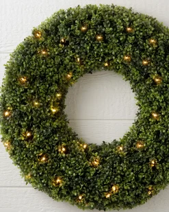 Hot Outdoor Boxwood Foliage 18 - 24 Inch|Outdoor Safe