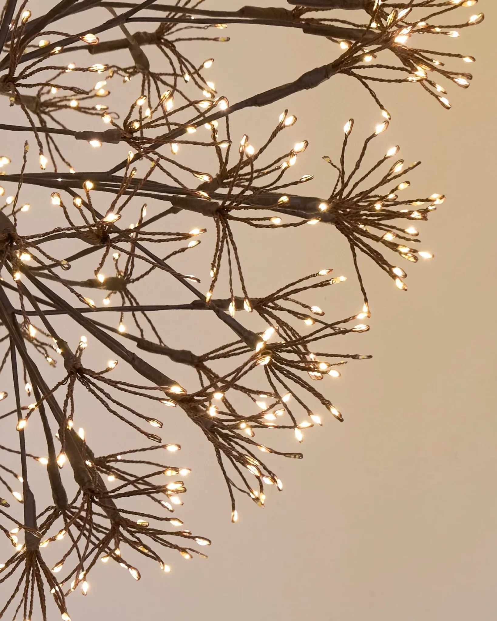 Sale Outdoor Cluster Fairy Starburst Lights Outdoor Lights