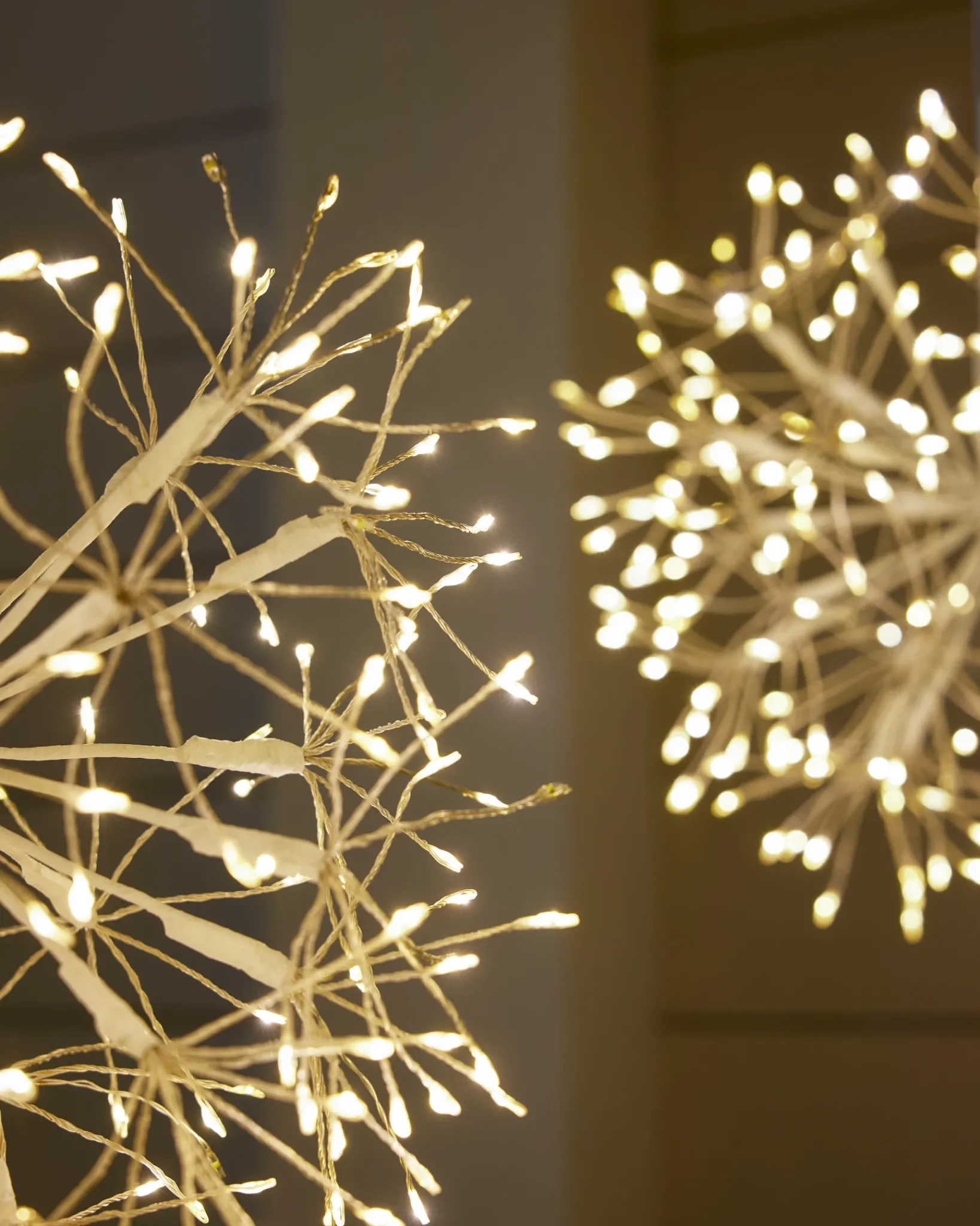 Sale Outdoor Cluster Fairy Starburst Lights Outdoor Lights