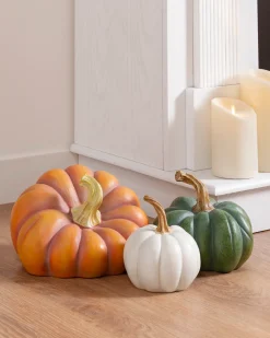 Best Outdoor Heirloom Pumpkins Decorative Accents|Decorative Accents