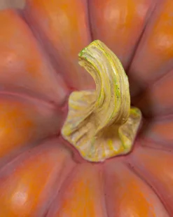 Best Outdoor Heirloom Pumpkins Decorative Accents|Decorative Accents