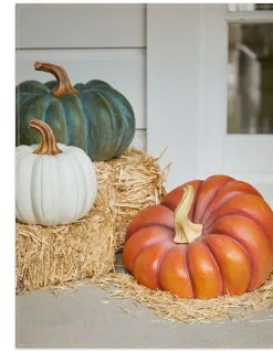 Best Outdoor Heirloom Pumpkins Decorative Accents|Decorative Accents
