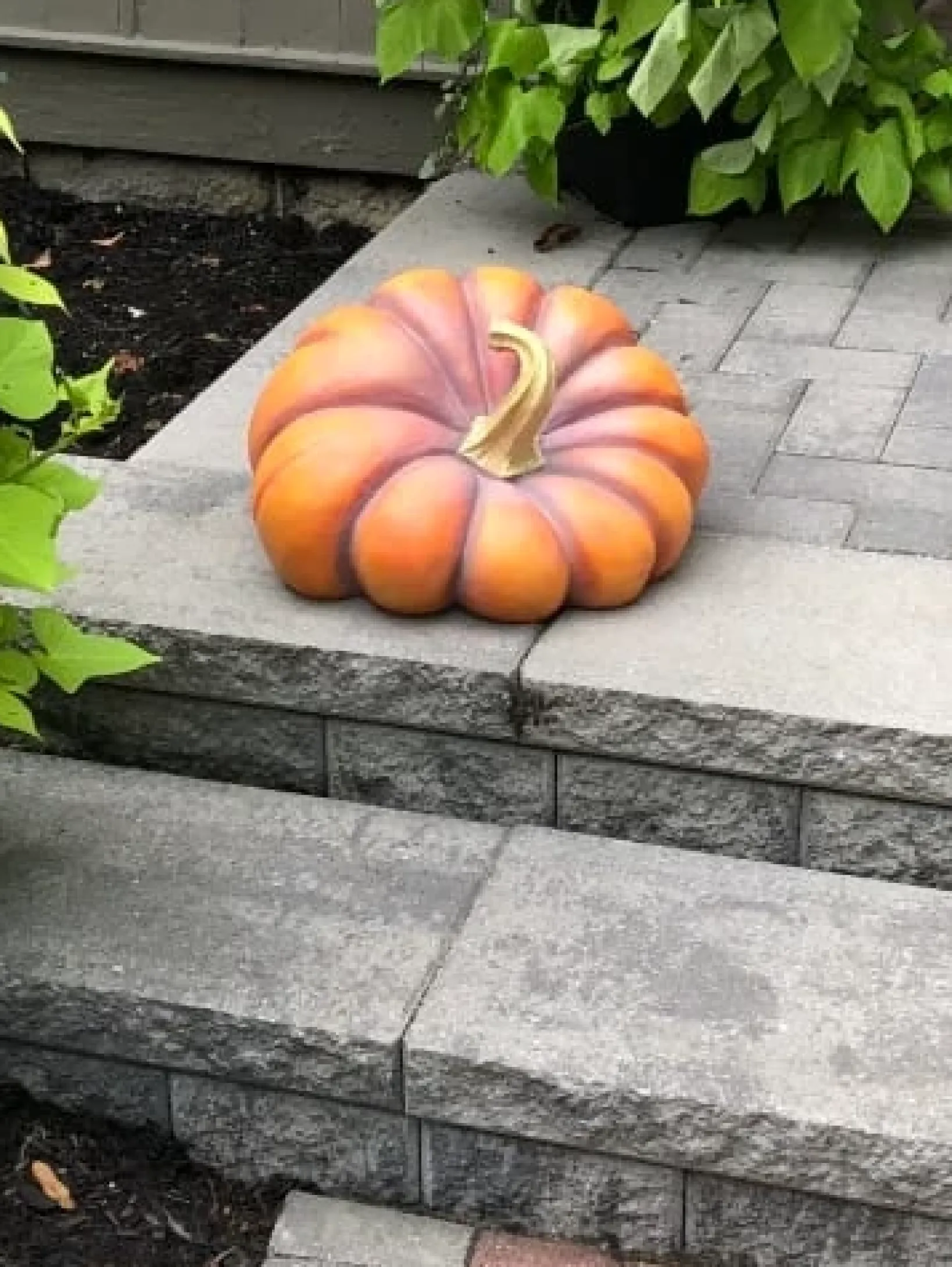 Best Outdoor Heirloom Pumpkins Decorative Accents|Decorative Accents