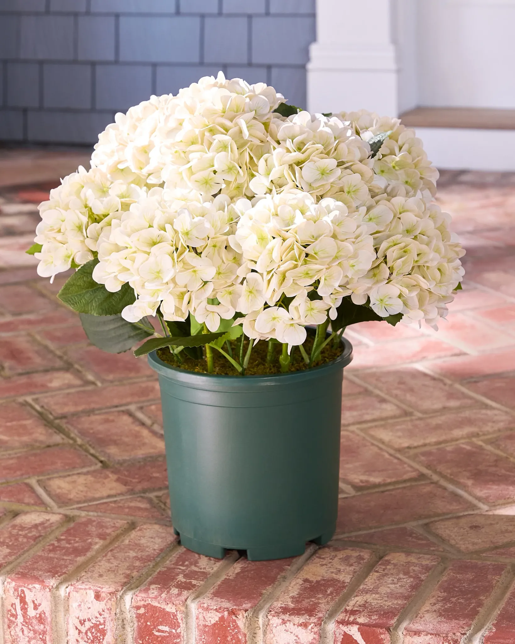 Best Outdoor Hydrangea Harmony Foliage Wreaths|Outdoor Décor
