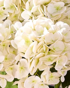 Best Outdoor Hydrangea Harmony Foliage Wreaths|Outdoor Décor