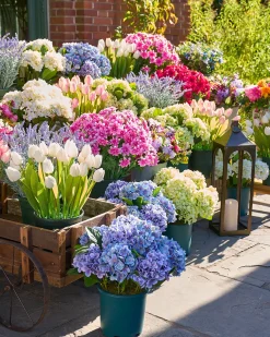 Best Outdoor Hydrangea Harmony Foliage Wreaths|Outdoor Décor