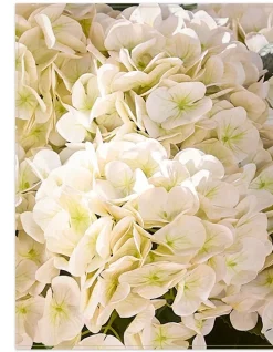 Best Outdoor Hydrangea Harmony Foliage Wreaths|Outdoor Décor