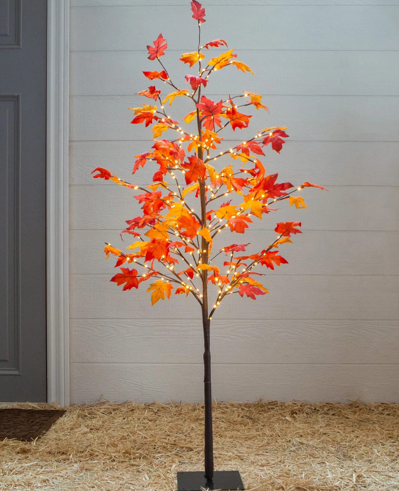 Outlet Outdoor LED Lit Autumn Maple Trees Decorative Accents|Outdoor Safe